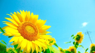 機械手臂手術的未來發展與中醫大市立醫院的應用