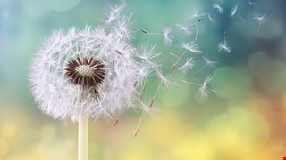 急診-眩暈病人注意事項