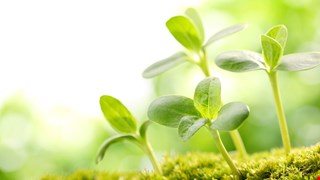 病房餐價格調整