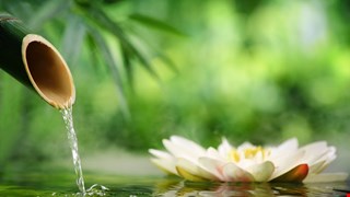 鼻子過敏好惱人 中醫幫忙來平穩