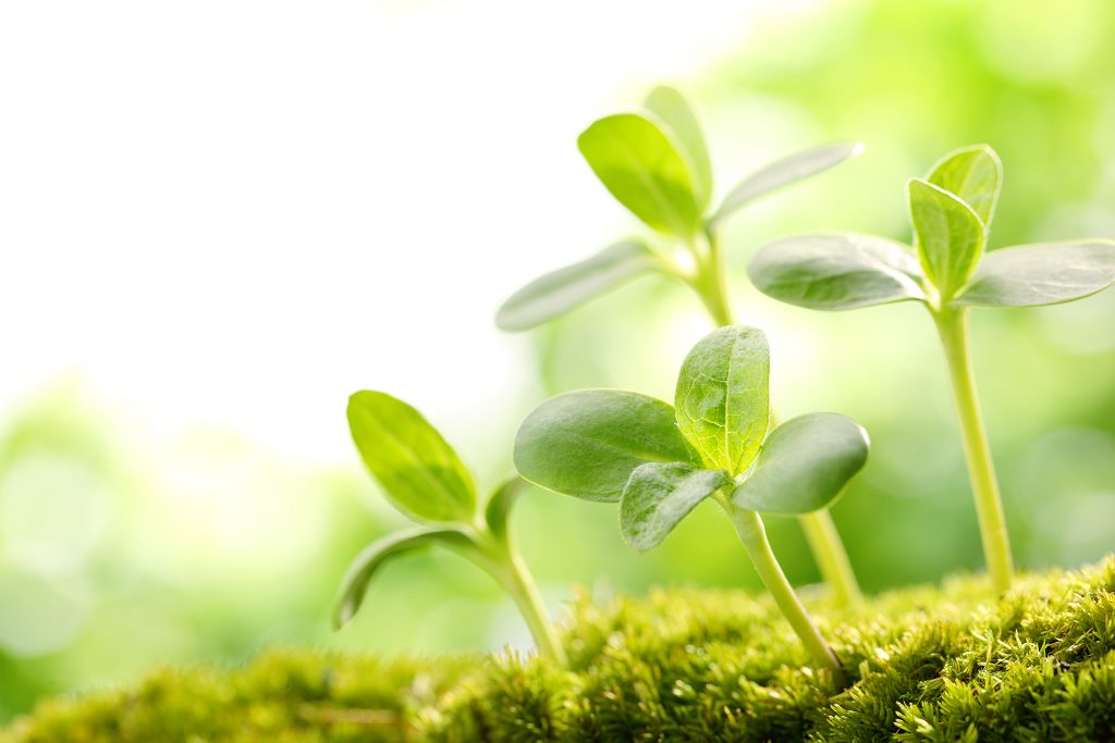 病房餐價格調整